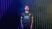 Meow Wolf Home Kit GIF by New Mexico United