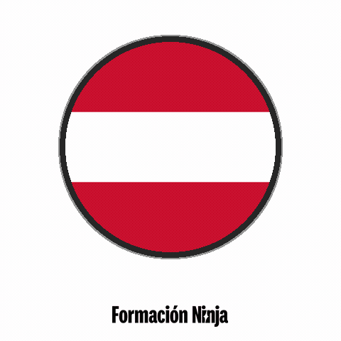 Flag Bandera GIF by Formación Ninja