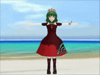 Fly T Pose GIF