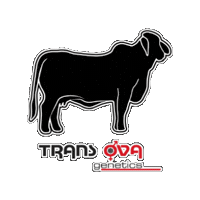 Stock Show Brahman Sticker by Trans Ova Genetics