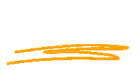 Orange Line Sticker