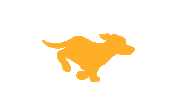 Dog Running Sticker by Fetch Rewards