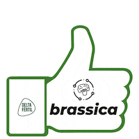 Agro Qualidade Sticker by Delta Fértil