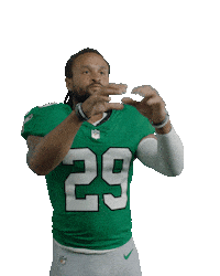 Fly Eagles Fly Football Sticker by Philadelphia Eagles