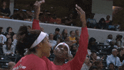 sport sky GIF by Indiana Fever