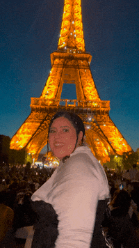 Happy France GIF