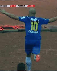 Pipa Persib GIF