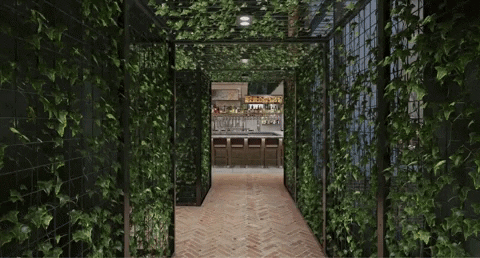 agibson94 giphyupload yeahthatgreenville greenvillesc gvl GIF