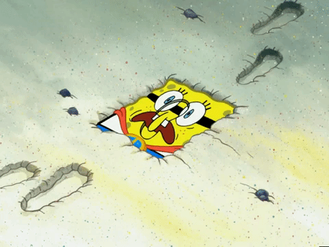 season 5 blackened sponge GIF by SpongeBob SquarePants