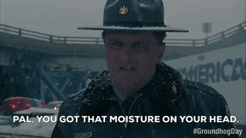 You Got That Moisture On Your Head GIF by Groundhog Day