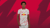 Sport Brain GIF by RB Leipzig