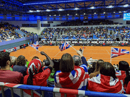 fedcup celebration celebrate yay wave GIF