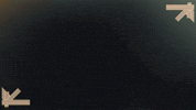 belfast GIF by EDO Restaurant