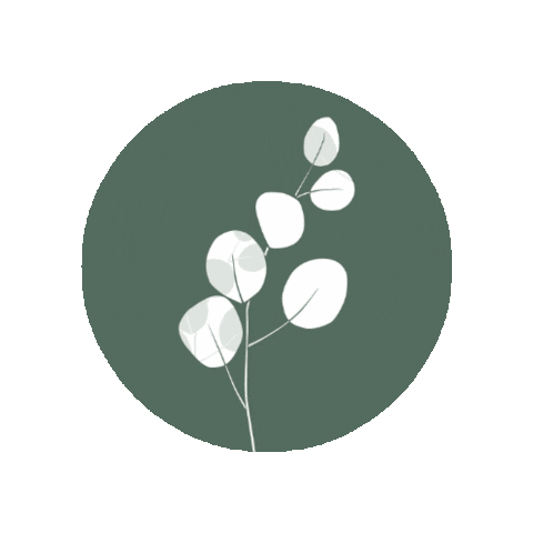 Instagram Branding Sticker by Lifeplannermx