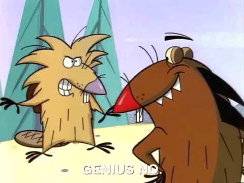 angry beavers nicksplat GIF