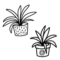 Home Plants Sticker by CrossCountry Mortgage, LLC