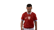 Heads Up Ceskarepre Sticker by 2score