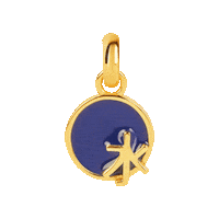 Water Gold Sticker by Aleyole Jewelry