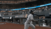 Jumping Major League Baseball GIF by MLB