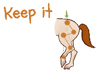 Horsetraining Sticker by lightandsupplehorses