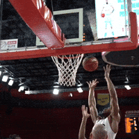 thelondonlions poster shouting slam dunk aaahhhhhh GIF