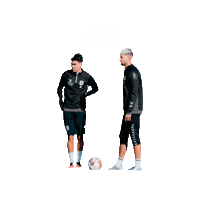 Aarhus Sticker by AGF Fodbold