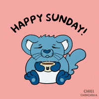 Happy Sunday Coffee GIF by VeeFriends