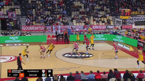 avivdrori giphyupload GIF