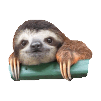 lazy STICKER by imoji