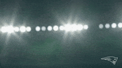 Gillette Stadium Reaction GIF by New England Patriots