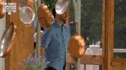 dan levy julia chan GIF by CBC