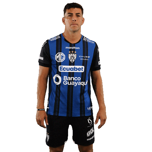 Dance Futbol Sticker by INDEPENDIENTE DEL VALLE