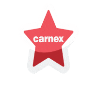 Deda Mraz Nova Godina Sticker by Carnex