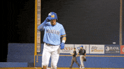 McNeeseSports baseball ncaa home run cowboys GIF