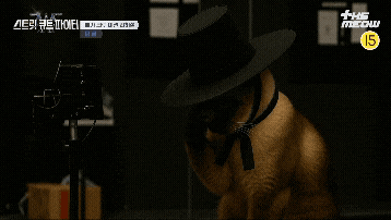 틴더스 GIF