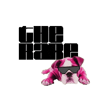 Cool Dog Vibes Sticker by TheRARE DC