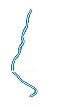 Animation Shock Sticker by youmotion.com