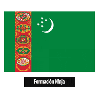 Turkmenistan Flag Sticker by Formación Ninja