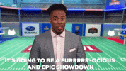 Football Cats GIF by Hallmark Channel