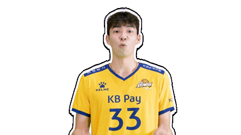 Kb스타즈 Sticker by KB STARS VOLLEYBALL CLUB
