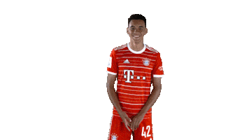 Football Soccer Sticker by FC Bayern Munich