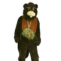 Dance Flower Sticker by Canna Comedy Festival