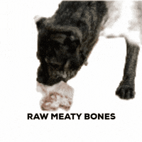 adrpetstores  GIF