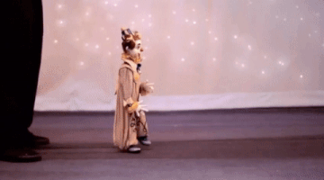 kids puppets GIF by Bob Baker Marionette Theater