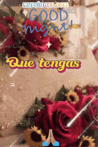 Una Noche Amigos GIF by Murcianys LLC
