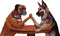 Dog Wrestling Sticker by jOnNy'S wOrLd