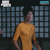 Martial Arts Wtf GIF by Arrow Video