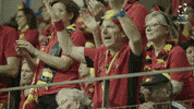 Tennis Fans GIF by Fed Cup by BNP Paribas