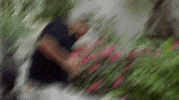Dj Khaled GIF by Lil Dicky