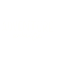 Travel Explore Sticker